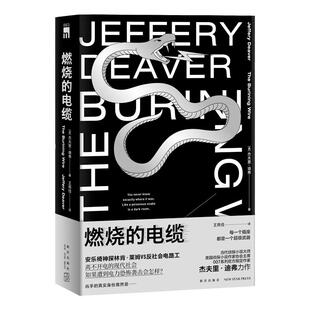 正版包邮 燃烧的电缆 杰夫里迪弗著 午夜文库欧美侦探悬疑推理解谜小说书籍 新星出版社神探林肯系列