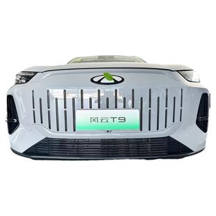 奇瑞风云T9中网外观改装前脸格栅防护防虫网汽车用品配件装饰亮条