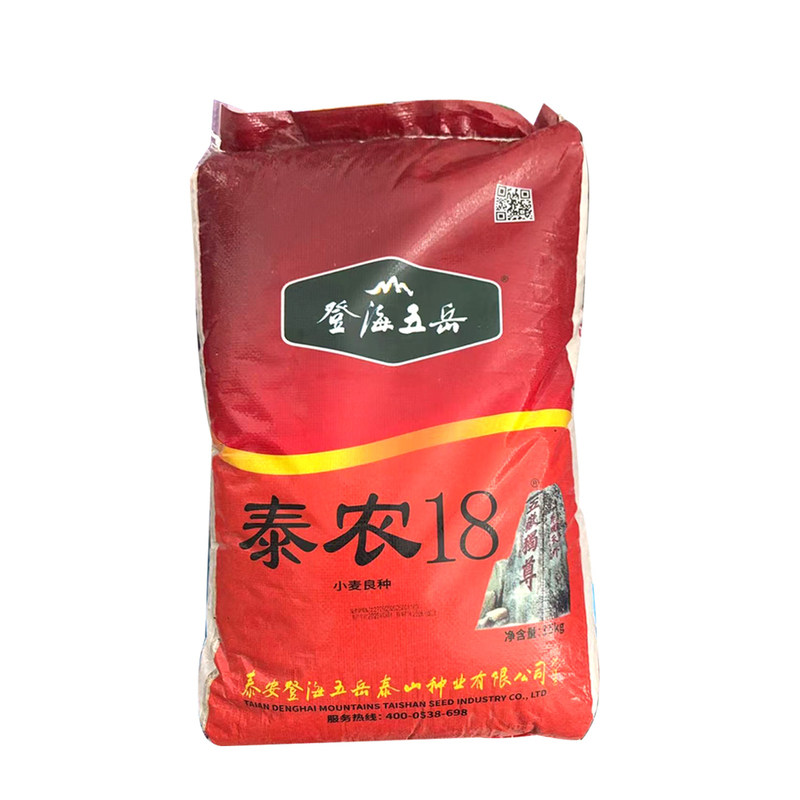 泰农18小麦种子矮杆抗倒抗病耐寒大穗籽粒饱满白麦高出粉率麦种