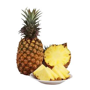 海南三亚特产金钻凤梨酸甜树上熟当季新鲜热带水果手撕菠萝大果