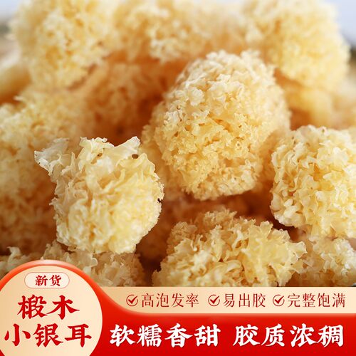 【名模坤专属】椴木小银耳香甜软糯巧克力白木耳干货甜糯口感出胶