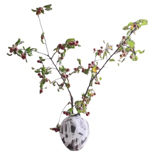 ins红色海棠果小苹果鲜切枝条木家用插花水培植物侘寂风家居装饰