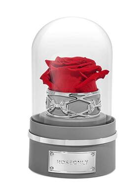 ROSEONLY钟罩永生花礼盒节日礼物