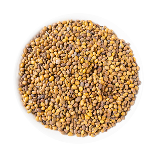 苦豆子中药材苦豆子 芦巴豆 芦巴子 季豆 香豆子 香苜蓿500克包邮