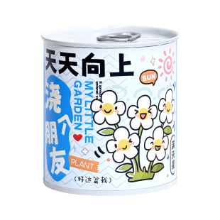 种植小盆栽植物盲盒六一儿童节礼物幼儿园奖品生日礼物小学生礼品