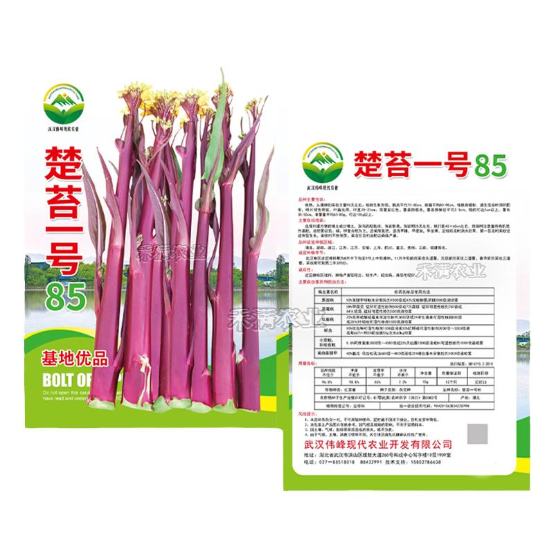 贡品级楚苔一号85红菜苔种子正宗菜苔种菜籽晚熟洪山菜苔种籽粗股