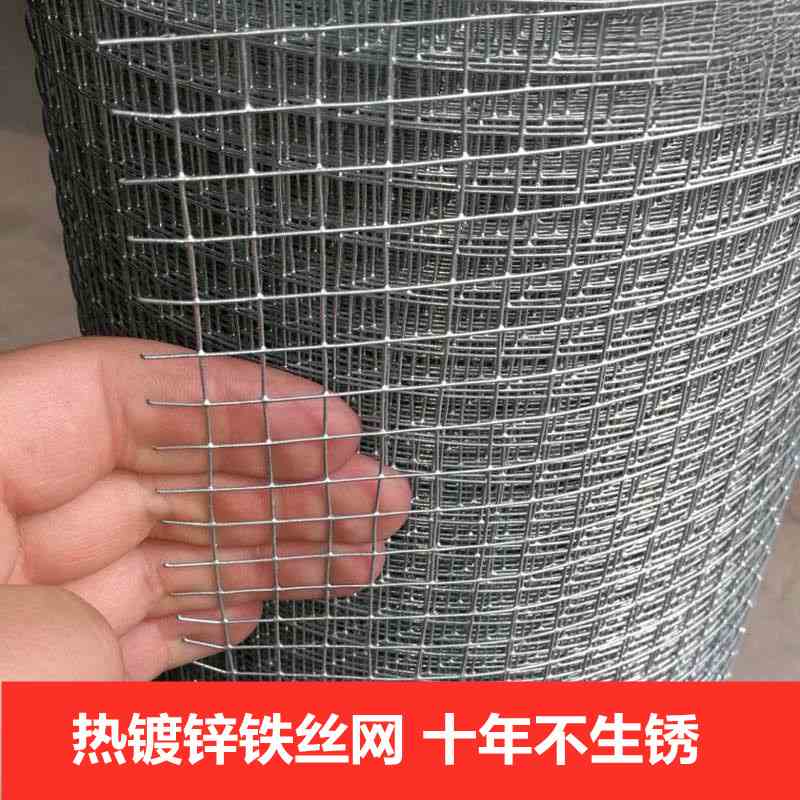 铁丝网围栏热镀锌电焊网片网格荷兰养殖网钢丝圈地网防护网网围栏