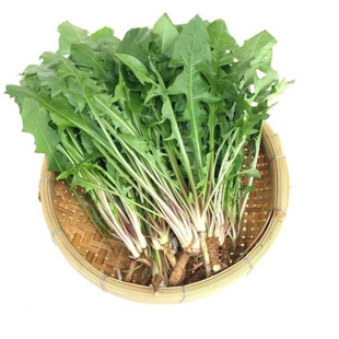 （顺丰包邮）新鲜蒲公英 婆婆丁黄花地丁野菜大棚蒲公英 时令蔬菜