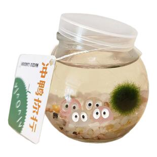 海藻球生态瓶生日礼物桌上小宠物迷你植物摆件diy水培绿植微景观