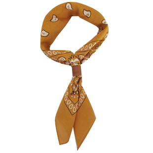 男女通用送真皮扣纯棉佩斯利腰果花方巾户外骑行头巾复古领巾街舞