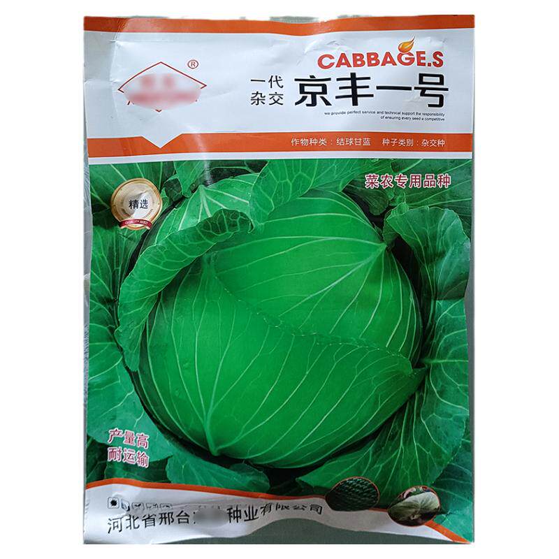 京丰一号250g甘蓝莲花白种子扁圆