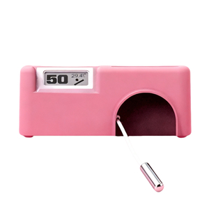 乌龟晒台饲养箱造景摆件睫角守宫肥尾豹纹爬宠缸躲避屋温度湿度计