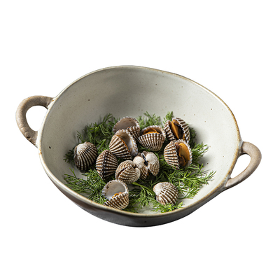 汤盘陶瓷不规则复古双耳盘子