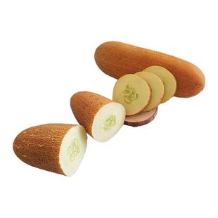 东北老黄瓜现摘麻皮老黄瓜应季新鲜蔬菜炖汤凉菜开胃酸黄瓜顺丰