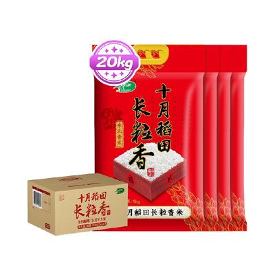 十月稻田东北长粒香大米大米