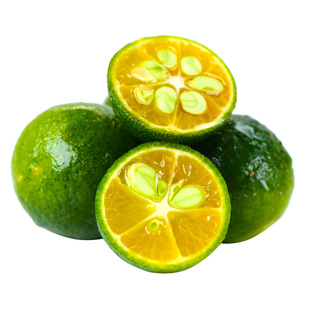 新鲜应季小金桔青柠奶茶专用榨汁整箱小青桔新鲜多水果青金橘包邮