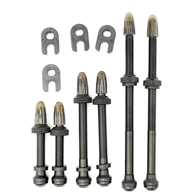 schwalbe真空胎气嘴无内胎