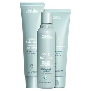 【享80元券】Aveda艾梵达头皮管理净化旅行装100ml