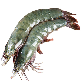 虾鲜活速冻特大号青岛大虾冷冻生海鲜水产鲜活大全新鲜基围冰虾类