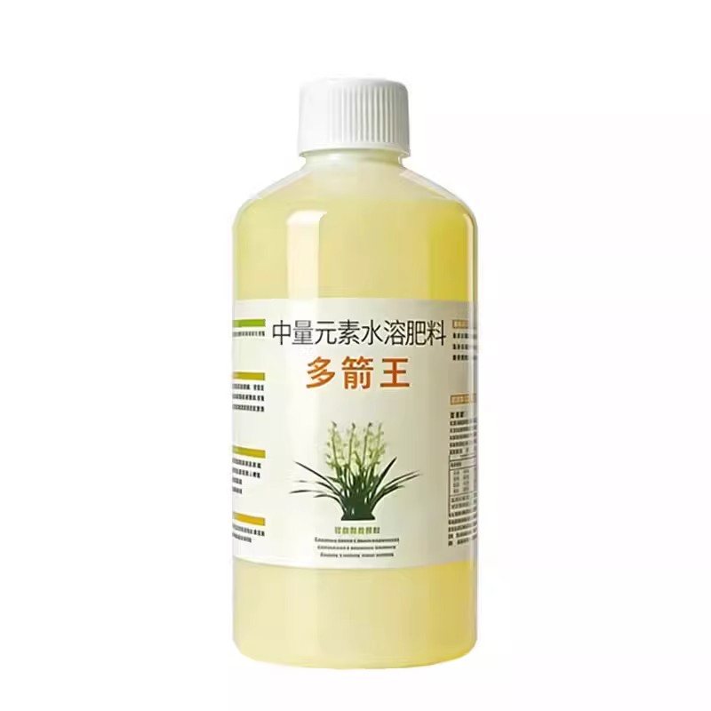 多箭王君子兰促箭剂防不开花