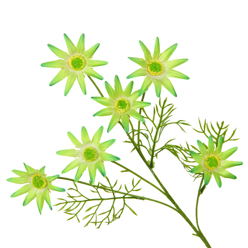 六头蓝星花婚庆仿真小太阳花家居客厅装饰插花排格桑花艺绢布假花