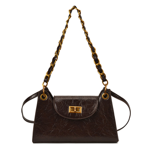 咖色超火精致链条腋下包包女式2025新款轻奢小众高级感通勤斜挎包