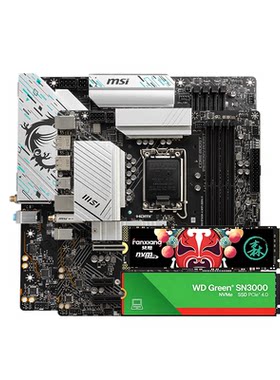 微星B760M主板搭梵想固态套装