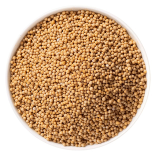 寻百草白芥子中药材500g野生白芥子粉芥菜子辣菜子白芥子辣菜子