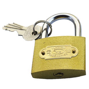 云仙仿铜挂锁单开锁防盗防撬室外家用直开锁机箱锁通用多把钥匙