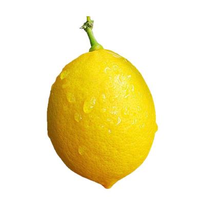 四川安岳新鲜黄柠檬尤力克孕妇水果果园直发清香皮薄多汁奶茶水果
