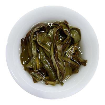 凤凰单枞春茶黄枝香经典香型