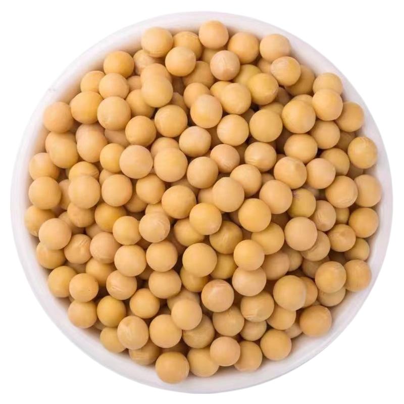 黄豆大豆子打豆浆专用东北农家自种批发10斤2025新货散装发豆芽