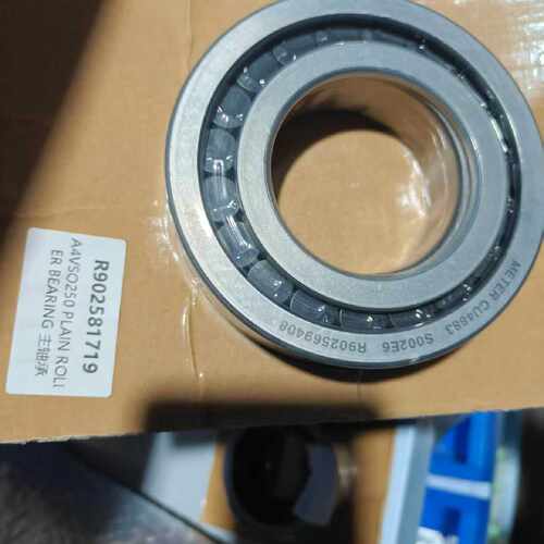 A4VSO250 PLAIN ROLLER BEARING—议价