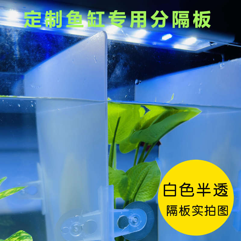 鱼缸隔离板不透明鱼缸挡板盖板小鱼缸网格分离板隔离板乌龟缸