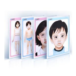 真人五官贴身体部位认知贴卡五官认知玩具自闭症发育迟缓早教康复