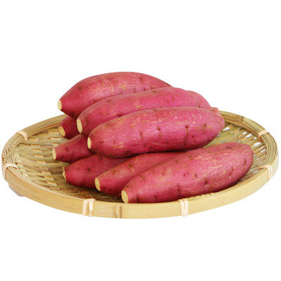 山西晋城南义城红薯5斤产地直销