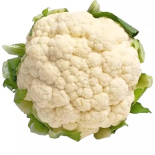 花菜种子青梗花椰菜白花菜耐热耐寒花菜种籽大全春季四蔬菜孑菜