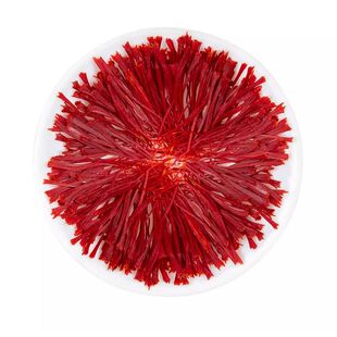 藏红花正品官方旗舰店西藏头茬红花伊朗西红花补气血中药材泡水喝