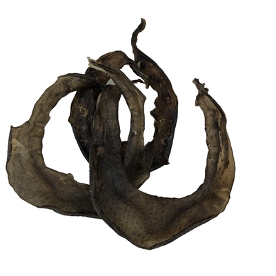 裙边酒店水产干货甲鱼