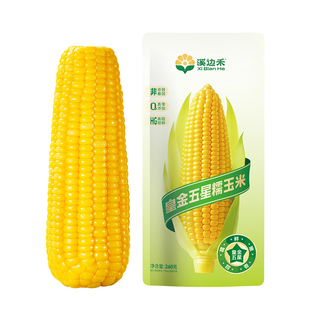 [好物体验专享]延安皇金糯2025年新鲜真空装鲜食玉米加热即食