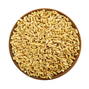 精选中药材浮小麦500g泡水 浮麦 止汗盗汗茶小麦瘪子麦米茶