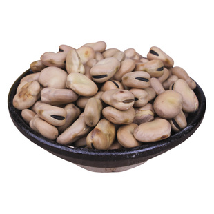 生蚕豆新鲜散装蚕豆新鲜农家自种胡豆罗汉豆可发芽蚕豆种子5斤装
