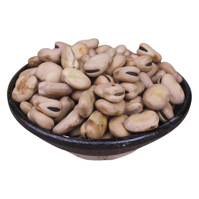 新鲜农家可发芽斤装蚕豆种子