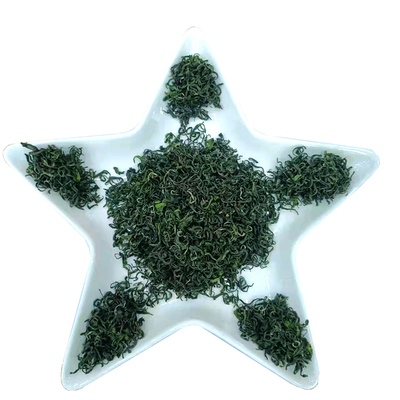 云雾茶+英山+味浓耐泡