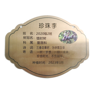 树牌定制腐蚀牌挂牌插地牌植树节牌不锈钢牌园林植物牌绿化信息牌