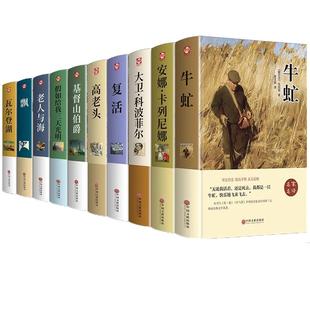 世界十大名著全套正版精装硬壳瓦尔登湖飘基督山伯爵三天光明大卫牛虻安娜卡列尼娜瓦尔登湖畅销名著小说书青少版中学生名著课外书