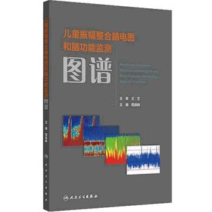 儿童振幅整合脑电图和脑功能监测图谱神经功能脑损伤幼儿语言迟滞儿童神经危重症新生儿惊厥脑病aEEG异常神经发育基层医务识别解读