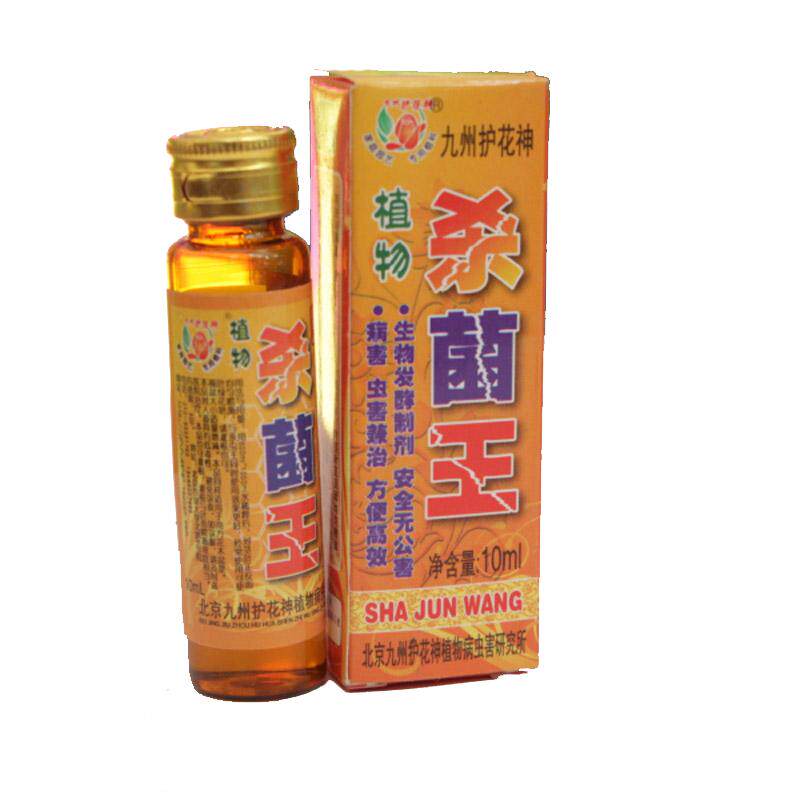 九州绿萝吊兰园艺烂根