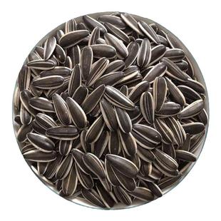 生瓜子葵花子新货大颗粒现炒熟原味葵花籽炒货新鲜生瓜子散装