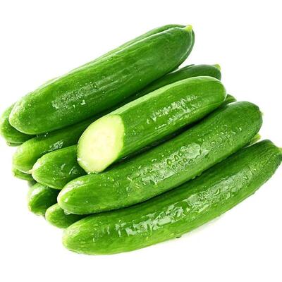 新鲜采摘水果黄瓜新鲜包邮小黄瓜青瓜生吃脆嫩清甜白玉花瓜